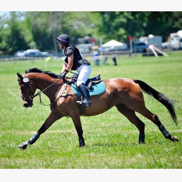 Meet your Posher, Maddison - Picture 1 of 1